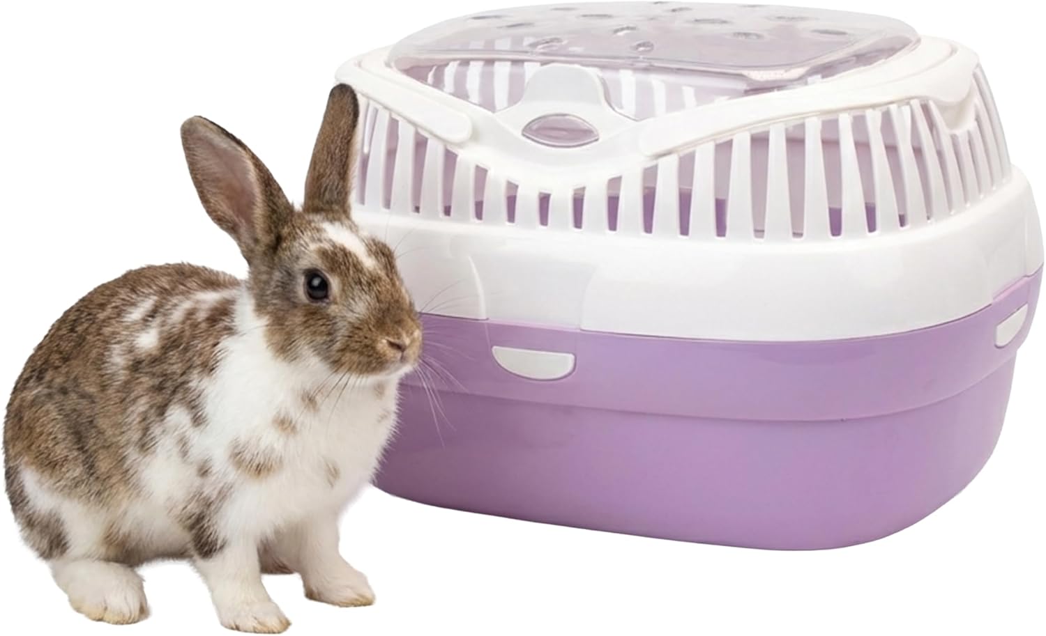 Ferplast Transport pour Lapins, cochons d'Inde et Rats ALADINO Large Cage de Transport pour Animaux domestiques, rongeurs, Lapins, 36 x 26 x h 23 cm, Fuchsia