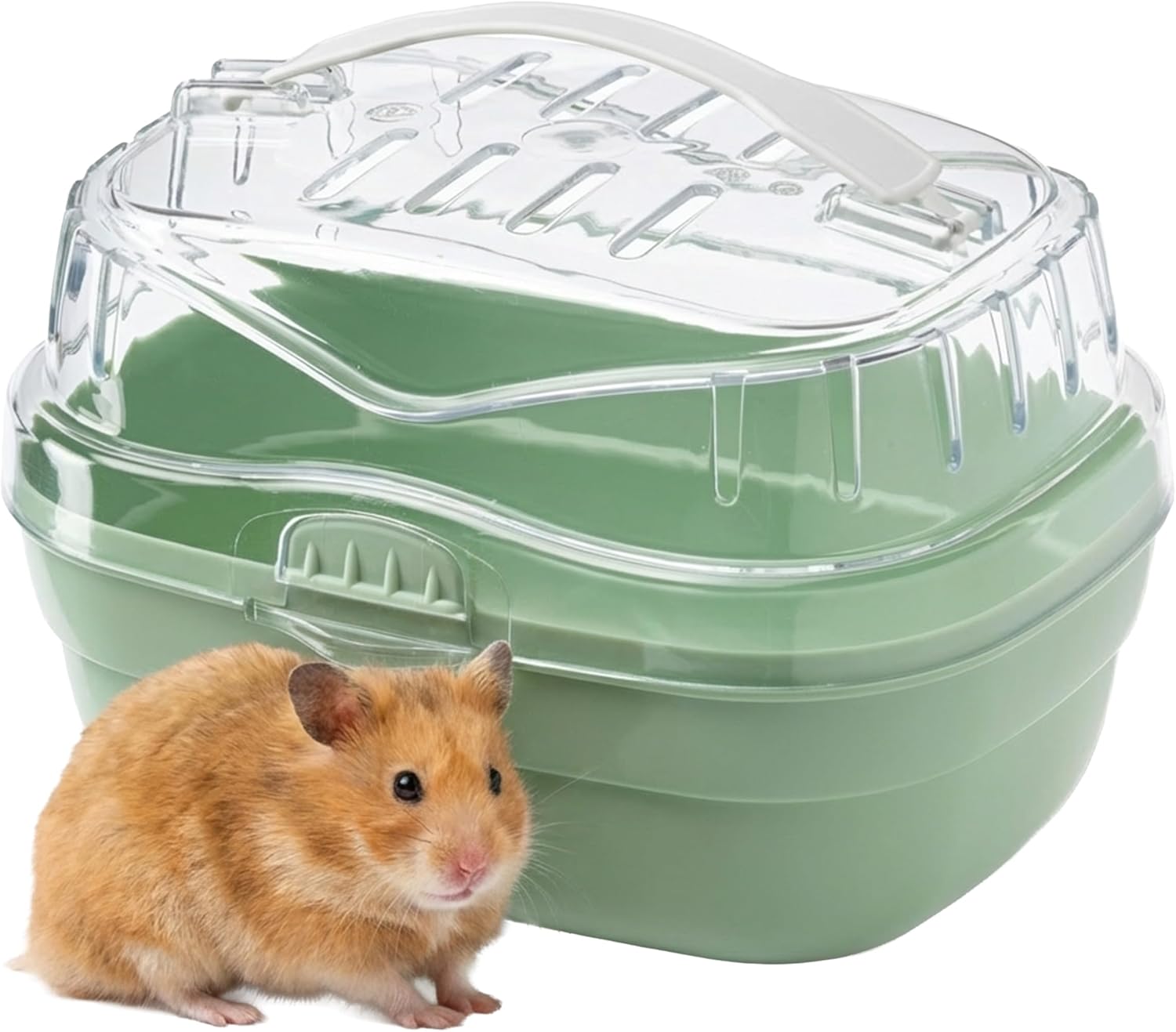 Ferplast Transport pour Hamsters et Autres Petits rongeurs ALADINO Small Cage de Transport pour Petits Animaux, rongeurs, Hamsters, 20 x 16 x h 13,5 cm, Vert