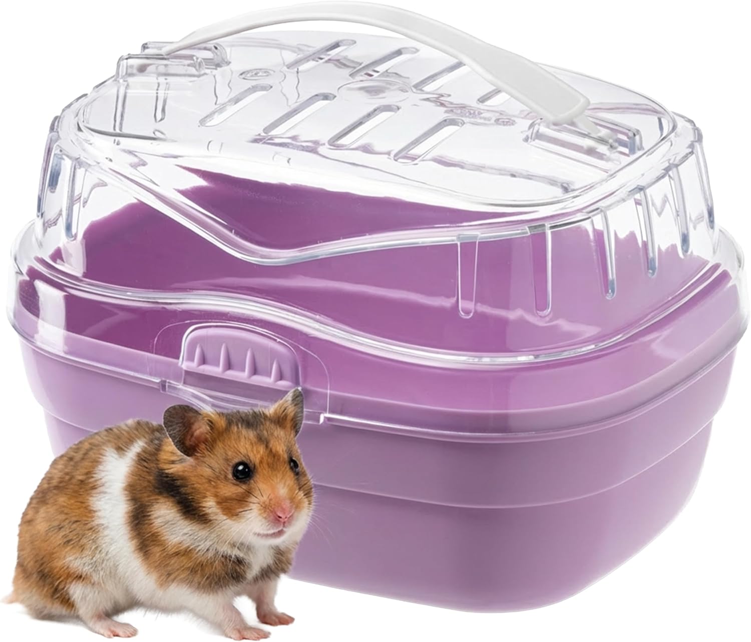 Ferplast Transport pour hamsters et autres petits rongeurs ALADINO SMALL Cage de transport pour petits animaux, rongeurs, hamsters, plastique résistant, bac coloré avec couvercle transparent, grilles de ventilation, poignée pratique, fermeture de sécurité, 20 x 16 x h 13,5 cm, Fuchsia