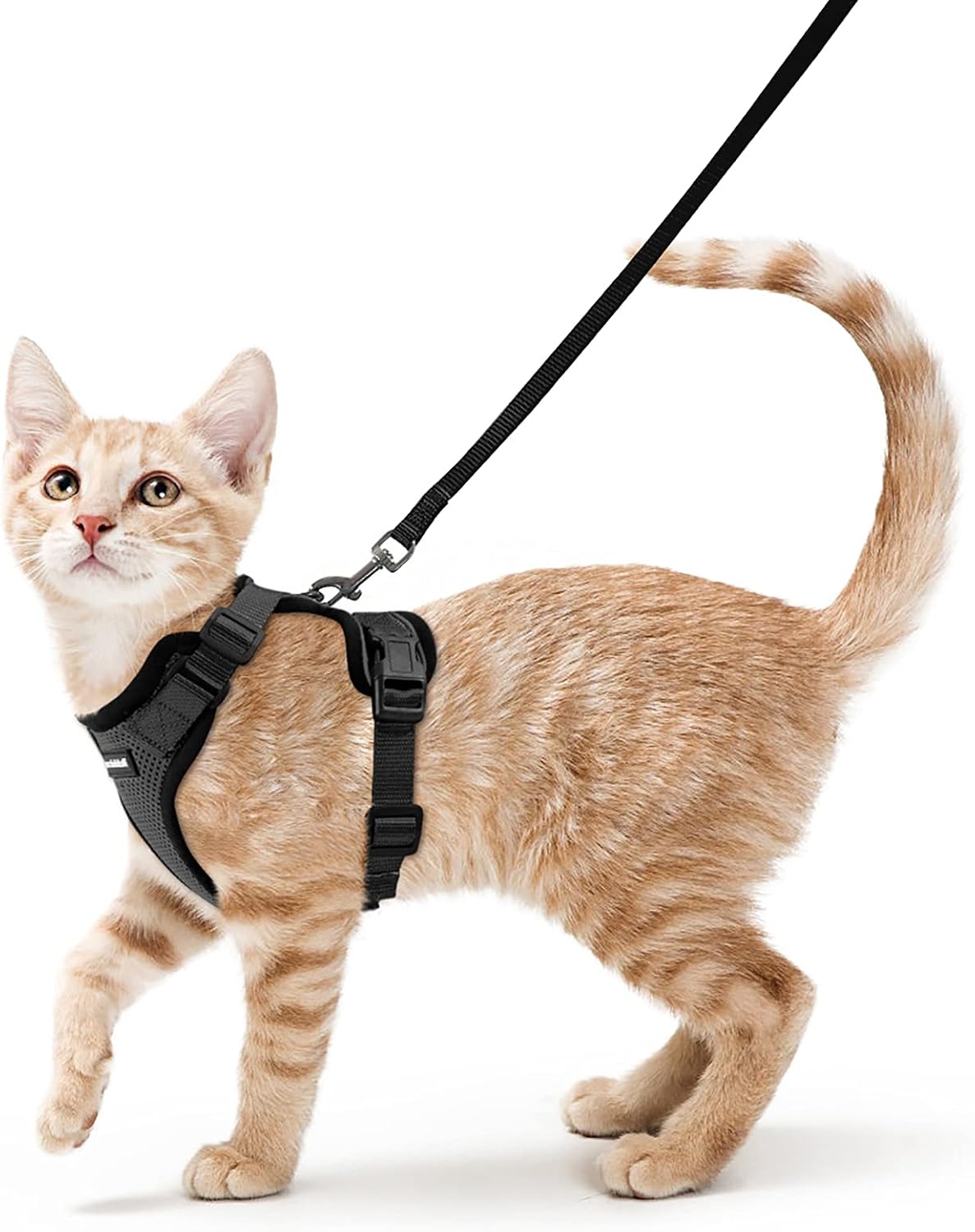 rabbitgoo Harnais Chat Petit Chien Laisse Harnais Chaton Réglable Noir XS Collier Harnai Chat Refléchissant Gilet Respirant pour Lapin, Chat Européen, Maine Coon, Persan, Attache Dessus avec Laisse