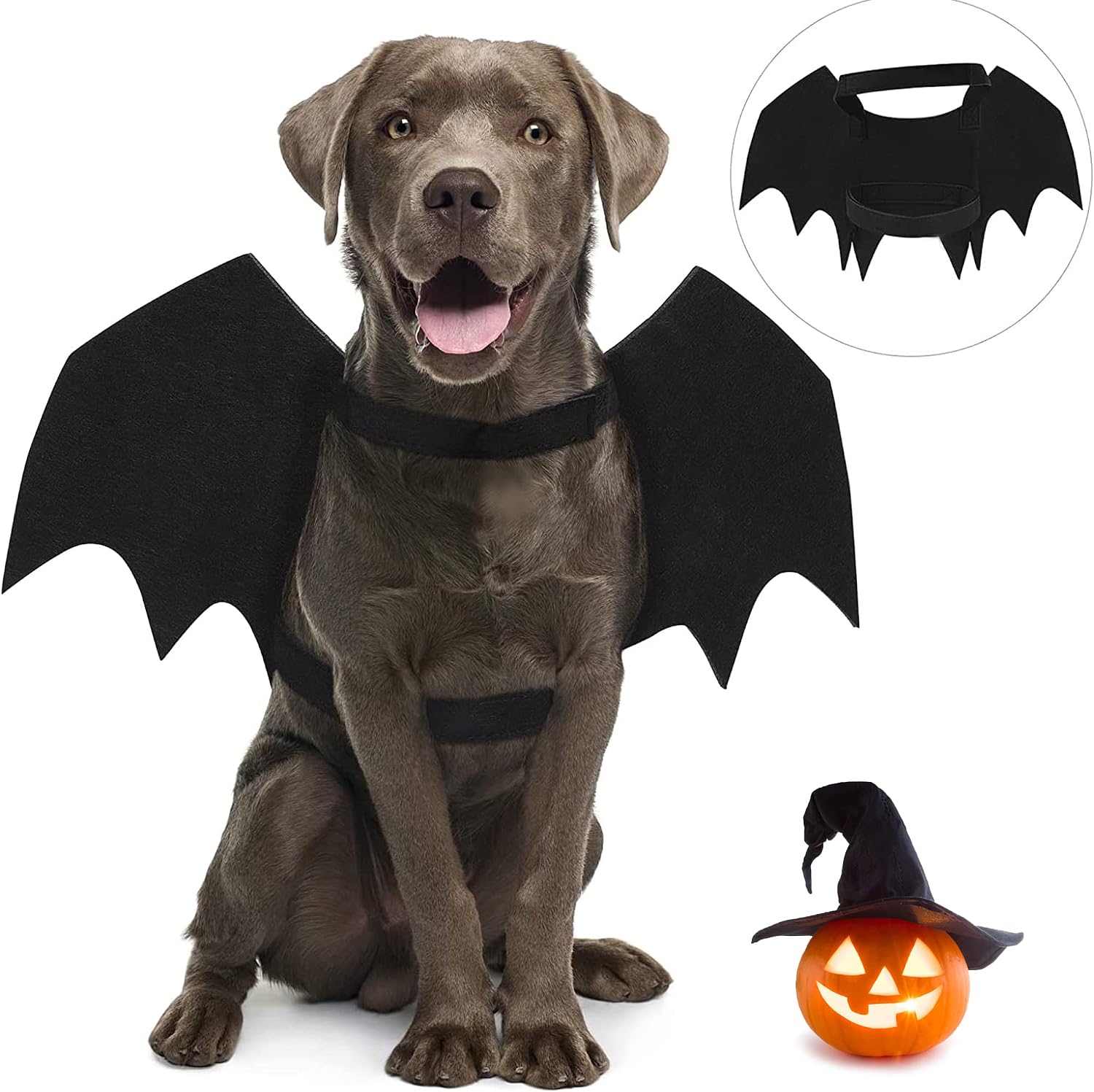 Costume d'halloween pour Animaux de Compagnie,Premium Qualité Créatif Costumes Halloween Chien Chat,Costume d'ailes de Chauve-Souris,pour Halloween Habiller,Décoration de fête