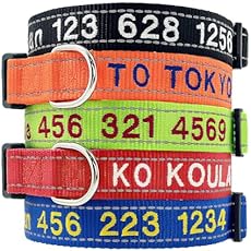 Collier pour chien gravé avec nom et numéro de téléphone, personnalisé pour chiens de petite, moyenne et grande taille (bohème)