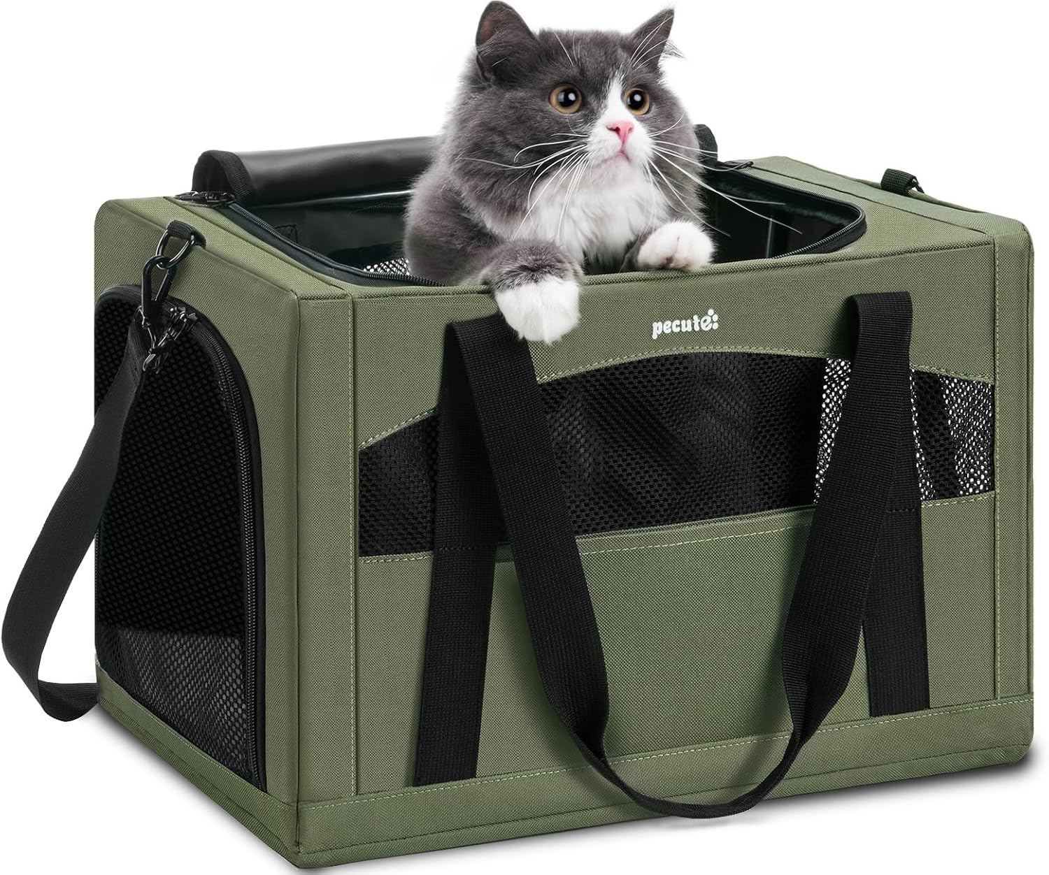 pecute Sac de Transport pour Chat, Cadre Ultra Stable, Pliable, Sac Transport Chat Portable, Écurie Sac de Transport pour Chiens de Compagnie Convient pour Les Voyages et Les Sorties, Vert