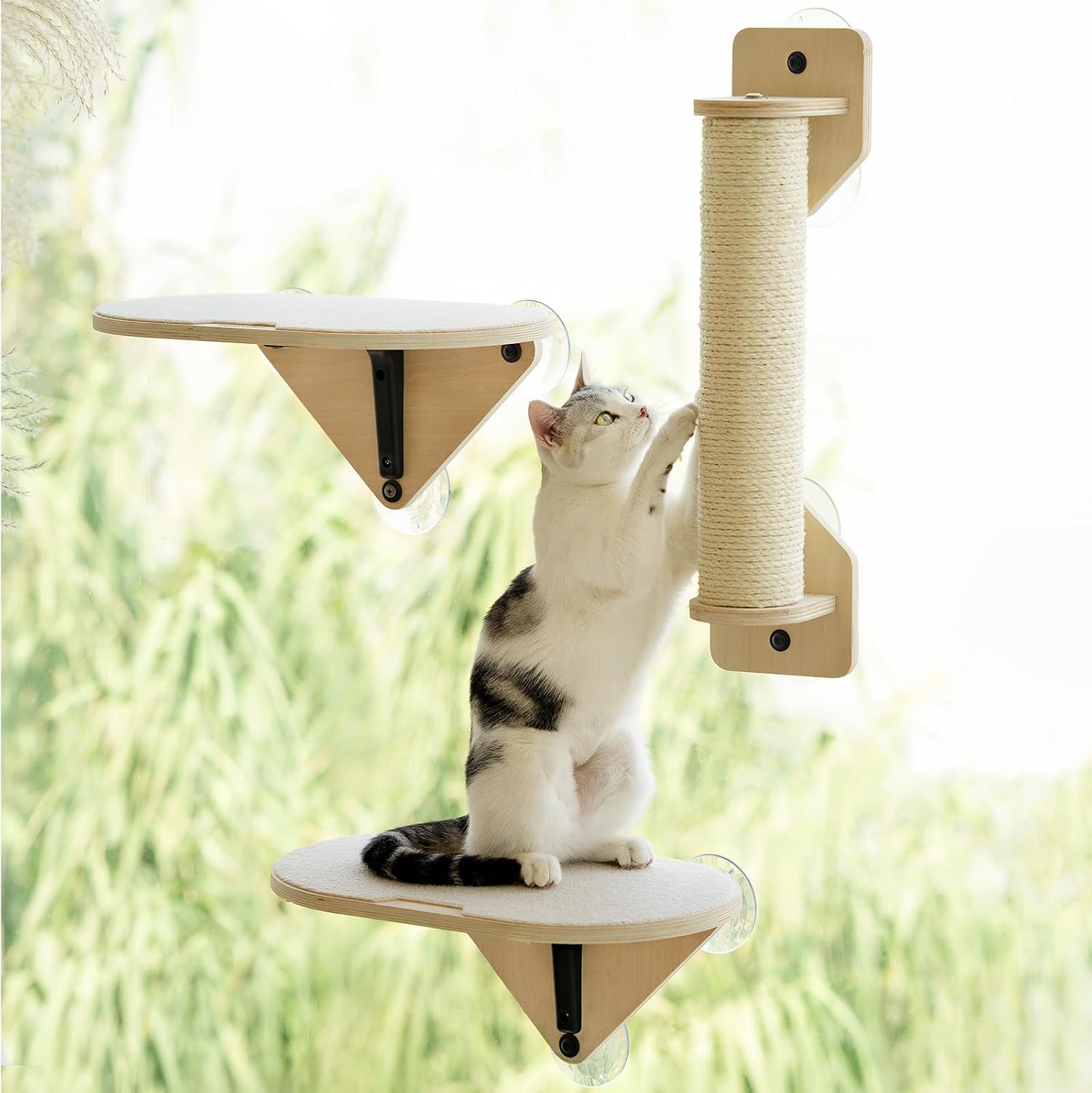 EDAGNY Hamac Chat Fenetre Plateforme Griffoir pour Grimper et Repos, 3 Pcs