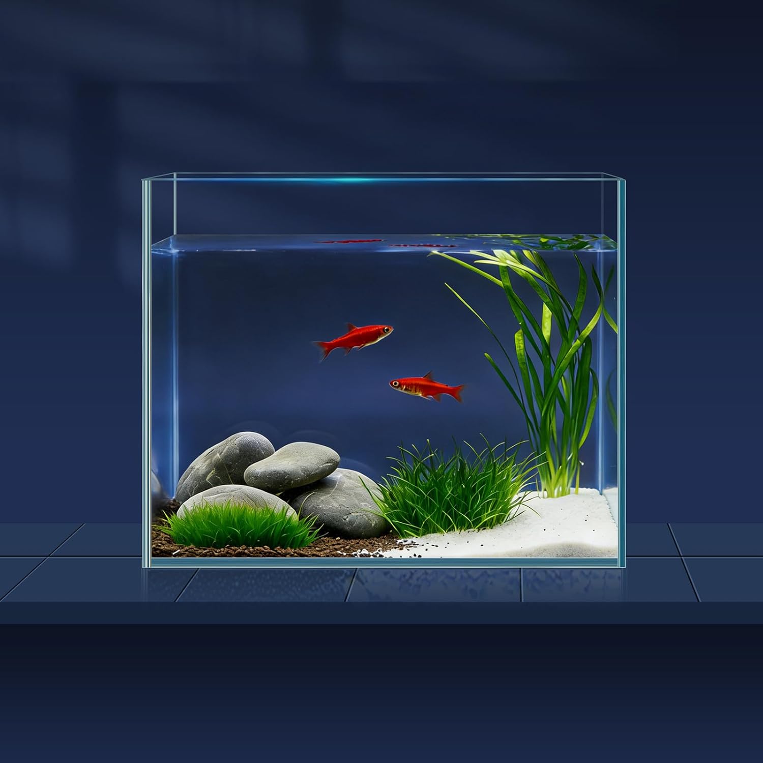LAQUAL 3.8L-Aquarium-Set mit Fischnetz, Wasserwechsel-Schlauch & 2 Reinigungstüchern, kristallklarem Glas, Ideal für Betta & Goldfische, schöne Wohn-Dekoration
