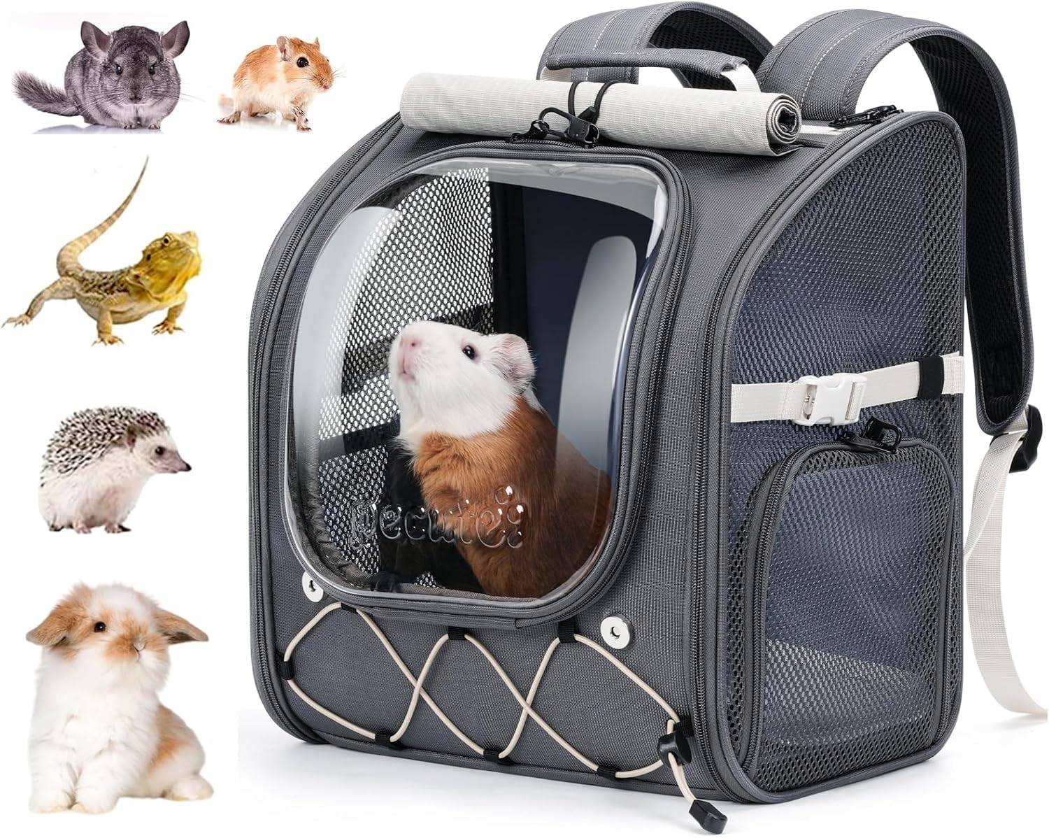 Pecute Caisse de Transport Chat, Cage Hamster, Hublot, 4kg Max, Gris