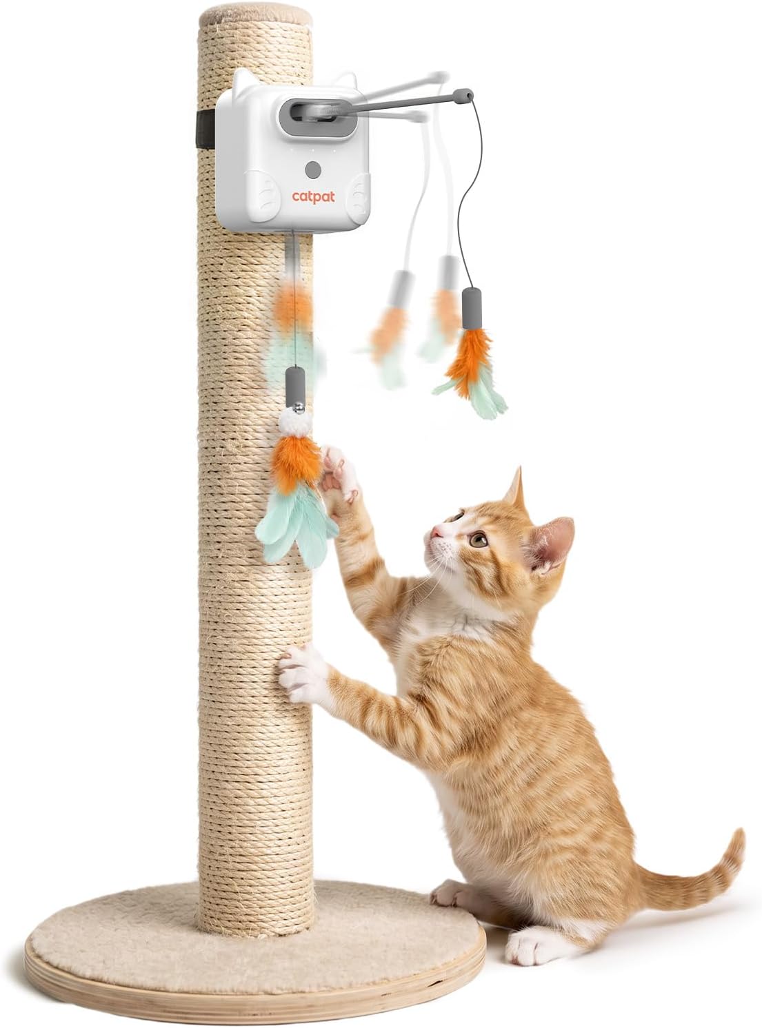 Jouet interactif pour Chat, Jouet Automatique à 2 Plumes avec 3 Modes de Jeu, Fixation par Clip, Plume rétractable avec Herbe à Chat et Clochette, pour Tables, chaises et Arbres à Chat