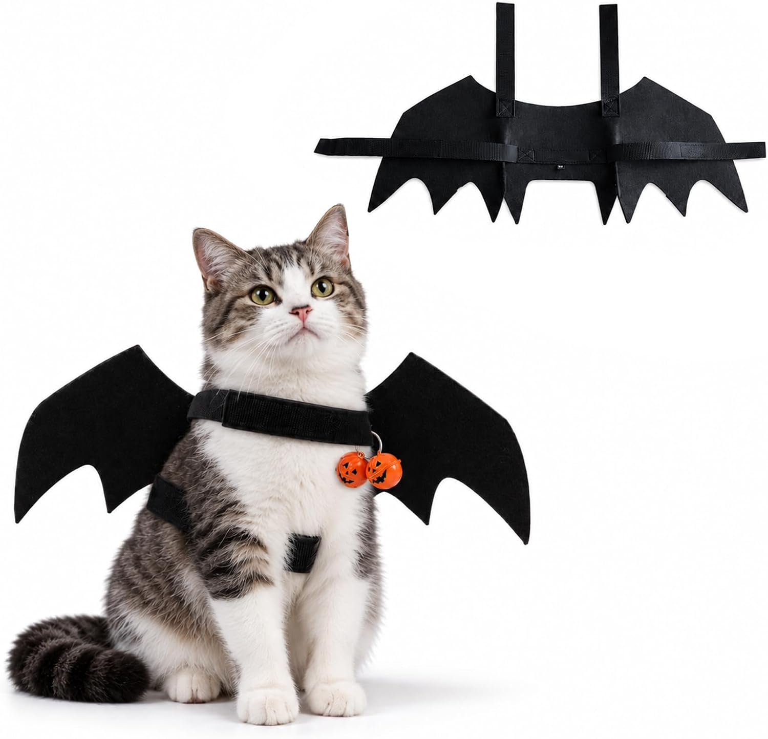 Deguisement Halloween Chat, Ailes de Chauve Souris 46 x 20 cm avec Cloches Citrouille, Deguisement pour Chat Réglable, Déguisement Halloween Chien, Costume pour Animaux, Fête, Cosplay, Photo
